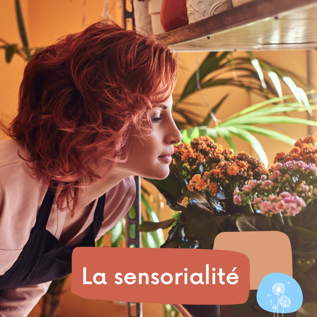 La sensorialité